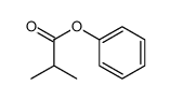 ISOBUTYRIC ACID PHENYL ESTER picture