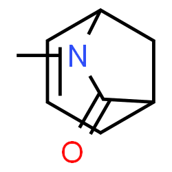 6-Azabicyclo[3.2.1]oct-3-en-7-one,6-methyl-(9CI) picture