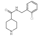 N-[(2-chlorophenyl)methyl]piperidine-4-carboxamide picture