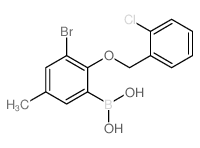 3-溴-2-(2′-氯苄氧基)-5-甲基苯基硼酸图片