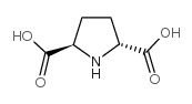 (2R,5R)-2,5-Pyrrolidinedicarboxylic acid Structure