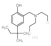 2-[bis(2-chloroethyl)aminomethyl]-4-(2-methylbutan-2-yl)phenol Structure