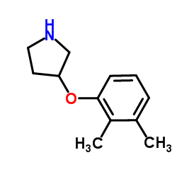 3-(2,3-Dimethylphenoxy)pyrrolidine结构式