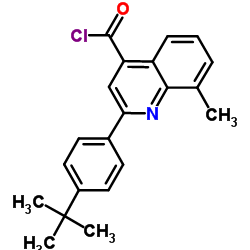 2-(4-tert-butylphenyl)-8-methylquinoline-4-carbonyl chloride结构式