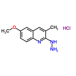 2-Hydrazino-6-methoxy-3-methylquinoline hydrochloride结构式