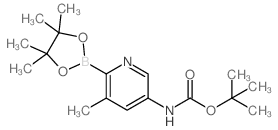 TERT-BUTYL (5-METHYL-6-(4,4,5,5-TETRAMETHYL-1,3,2-DIOXABOROLAN-2-YL)PYRIDIN-3-YL)CARBAMATE结构式