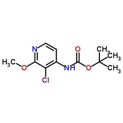 2-Methyl-2-propanyl (3-chloro-2-methoxy-4-pyridinyl)carbamate Structure