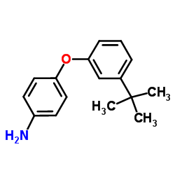 4-[3-(2-Methyl-2-propanyl)phenoxy]aniline Structure