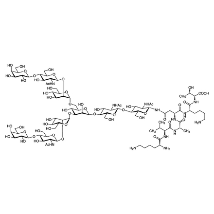 G2-peptide picture