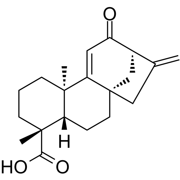 12-Oxograndiflorenic acid Structure