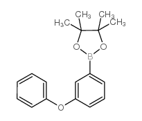 Phenoxyphenyl-3-boronic acid pinacol ester structure