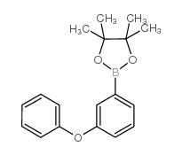 Phenoxyphenyl-3-boronic acid pinacol ester Structure