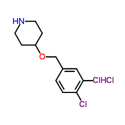 4-[(3,4-Dichlorobenzyl)oxy]piperidine hydrochloride (1:1) Structure
