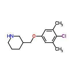 3-[(4-Chloro-3,5-dimethylphenoxy)methyl]piperidine Structure