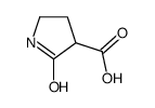 2-氧代-吡咯烷-3-羧酸图片