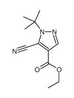 ETHYL1-TERT-BUTYL-5-CYANO-1H-PYRAZOLE-4-CARBOXYLATE Structure