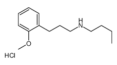 N-[3-(2-methoxyphenyl)propyl]butan-1-amine,hydrochloride结构式
