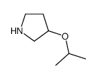 3-ISOPROPOXY-PYRROLIDINE Structure