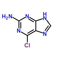 2 amino 6 chloropurine