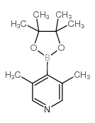 3,5-Dimethylpyridine-4-boronic acid pinacol ester picture