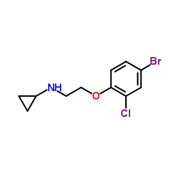 N-[2-(4-Bromo-2-chlorophenoxy)ethyl]cyclopropanamine结构式