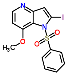 2-Iodo-7-methoxy-1-(phenylsulfonyl)-1H-pyrrolo[3,2-b]pyridine Structure