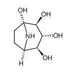 Calystegine B2 structure