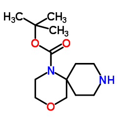 2-Methyl-2-propanyl 4-oxa-1,9-diazaspiro[5.5]undecane-1-carboxylate Structure