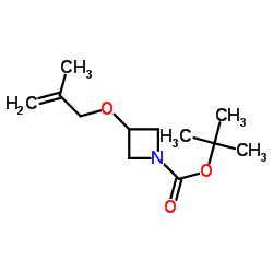 tert-Butyl 3-(2-methylallyloxy)azetidine-1-carboxylate结构式