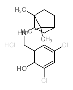 2,4-dichloro-6-[[(1,7,7-trimethylnorbornan-2-yl)amino]methyl]phenol结构式