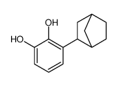 3-(3-bicyclo[2.2.1]heptanyl)benzene-1,2-diol结构式
