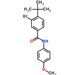 3-Bromo-N-(4-methoxyphenyl)-4-(2-methyl-2-propanyl)benzamide结构式