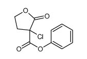 phenyl 3-chloro-2-oxooxolane-3-carboxylate结构式