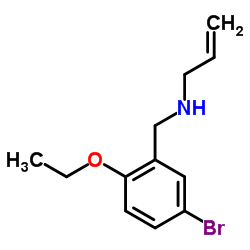 N-(5-BROMO-2-ETHOXYBENZYL)PROP-2-EN-1-AMINE结构式