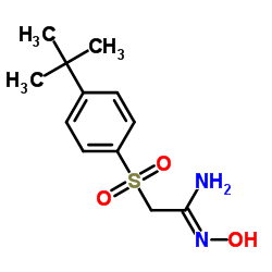 1-((4-(TERT-BUTYL)PHENYL)SULFONYL)-2-(HYDROXYIMINO)ETH-2-YLAMINE picture