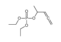 diethyl penta-3,4-dien-2-yl phosphate Structure