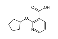 2-cyclopentyloxypyridine-3-carboxylic acid structure