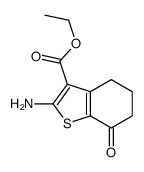 2-氨基-7-氧代-4,5,6,7-四氢-1-苯并噻吩-3-羧酸乙酯图片