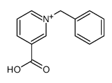 1-benzylpyridin-1-ium-3-carboxylic acid结构式