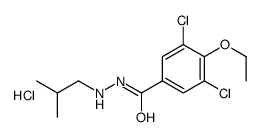 3,5-dichloro-4-ethoxy-N'-(2-methylpropyl)benzohydrazide,hydrochloride Structure