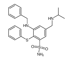 3-Benzylamino-5-(isopropylamino-methyl)-2-phenylsulfanyl-benzenesulfonamide结构式