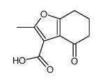 2-methyl-4-oxo-4,5,6,7-tetrahydro-1-benzofuran-3-carboxylic acid(SALTDATA: FREE) picture