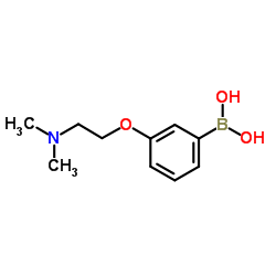 {3-[2-(Dimethylamino)ethoxy]phenyl}boronic acid picture