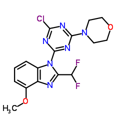 4-[4-chloro-6-[2-(difluoromethyl)-4-methoxybenzimidazol-1-yl]-1,3,5-triazin-2-yl]morpholine结构式