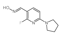 (E)-2-Fluoro-6-(pyrrolidin-1-yl)nicotinaldehyde oxime结构式