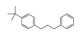 1-tert-butyl-4-(3-phenylpropyl)benzene结构式