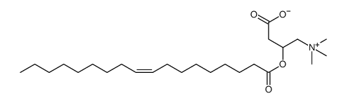 油酰基肉碱图片