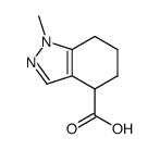 1-methyl-4,5,6,7-tetrahydro-1H-indazole-4-carboxylic acid结构式