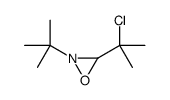 2-tert-butyl-3-(2-chloropropan-2-yl)oxaziridine结构式