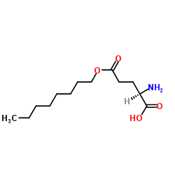 (2R)-2-Amino-5-(octyloxy)-5-oxopentanoic acid图片